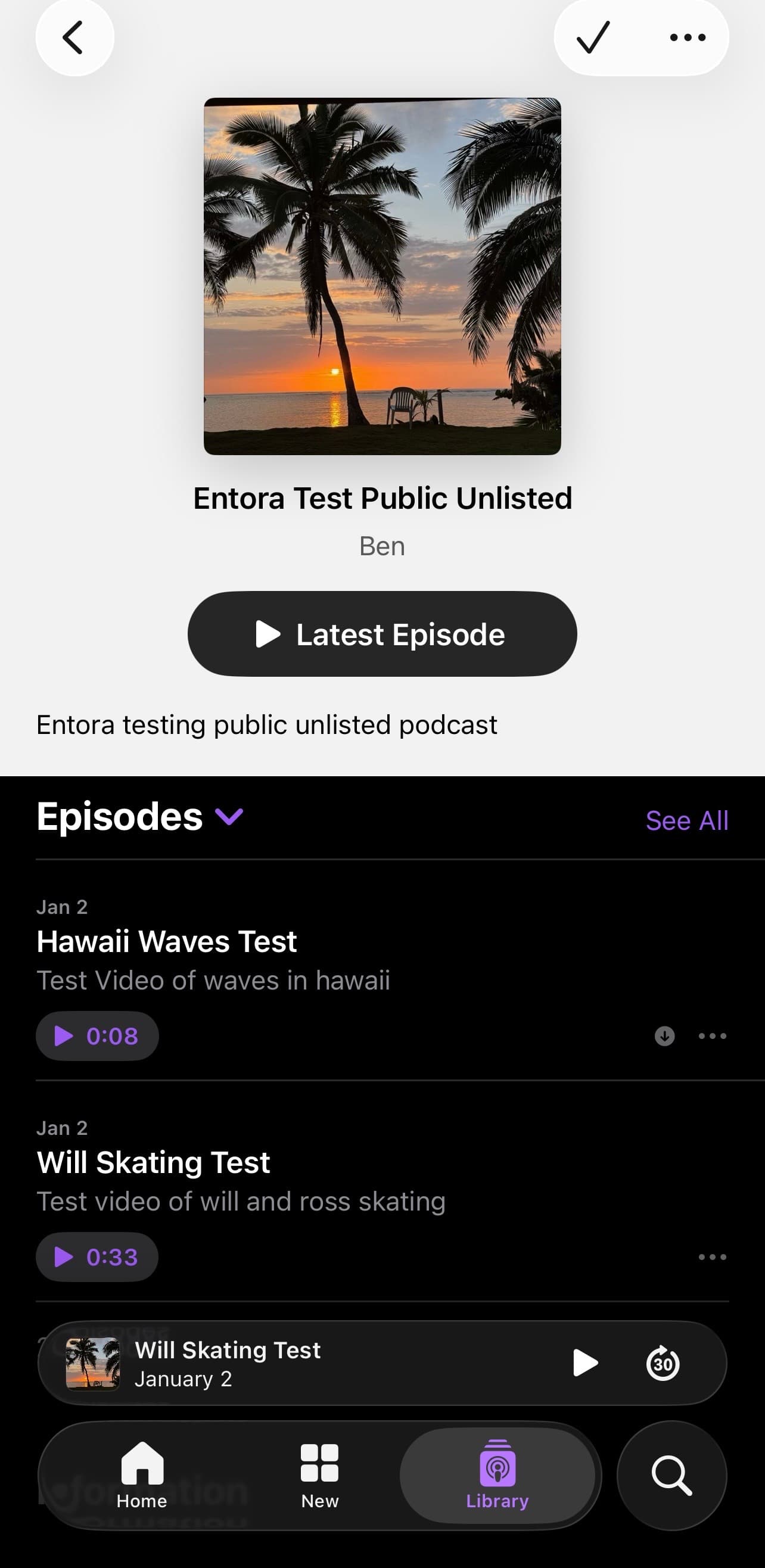Apple Podcasts playback screen